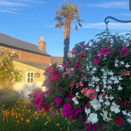 Bed and Breakfast Penwyth House New Quay Zewnętrze zdjęcie