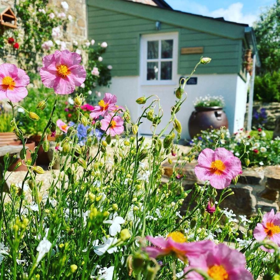 Bed and Breakfast Penwyth House New Quay Zewnętrze zdjęcie
