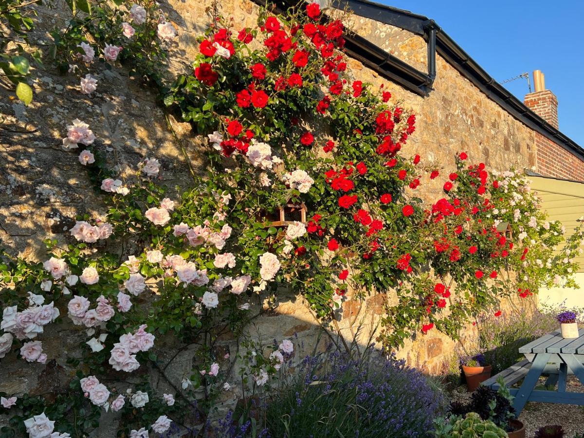 Bed and Breakfast Penwyth House New Quay Zewnętrze zdjęcie