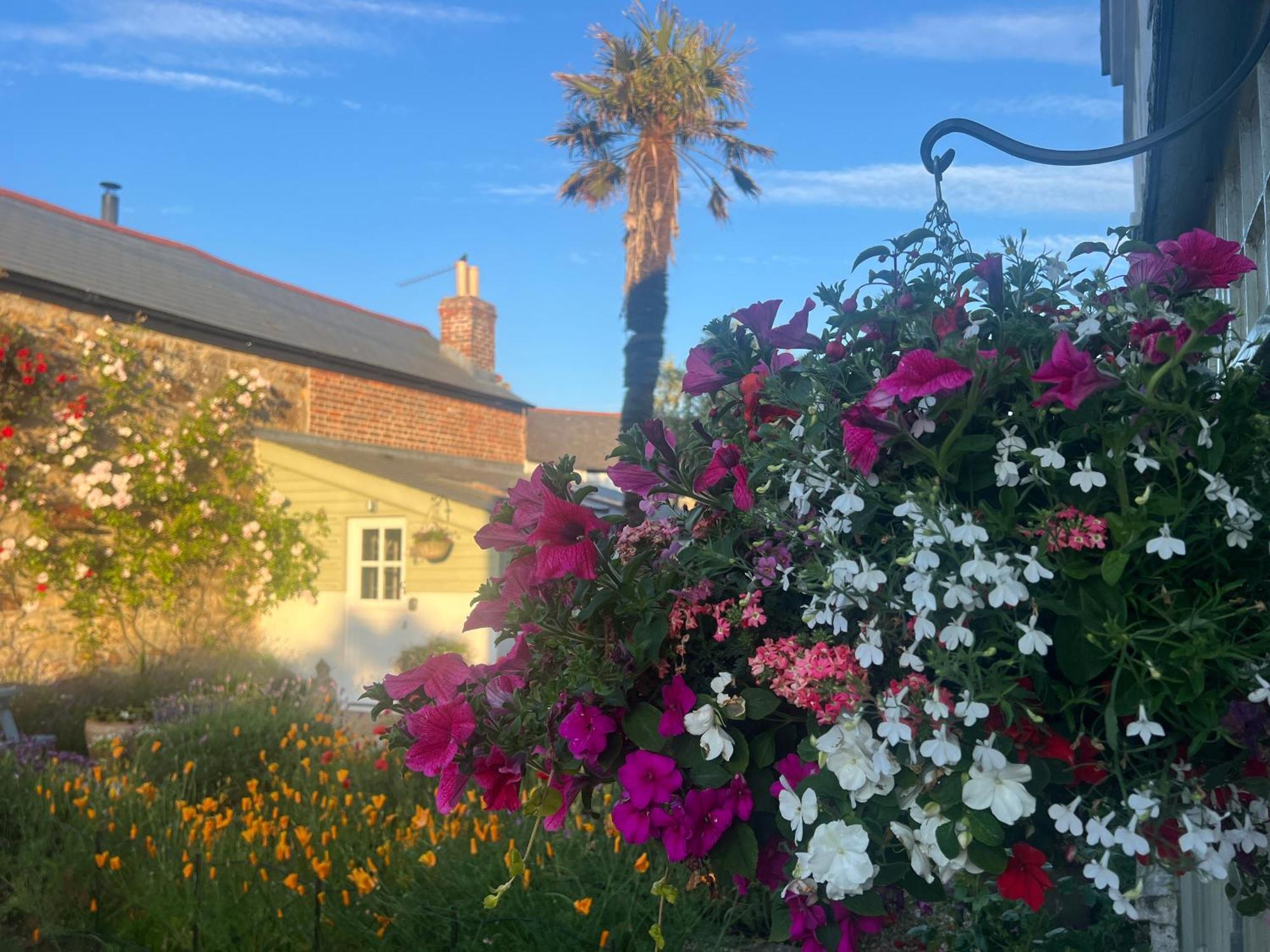 Bed and Breakfast Penwyth House New Quay Zewnętrze zdjęcie